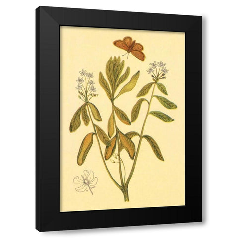 Labrador Tea Black Modern Wood Framed Art Print by PI Collection