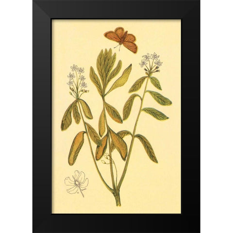 Labrador Tea Black Modern Wood Framed Art Print by PI Collection
