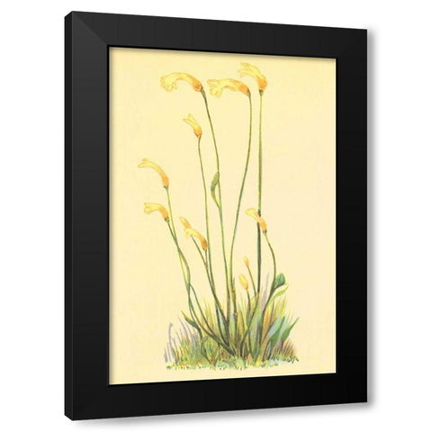 One Flowered Root Black Modern Wood Framed Art Print with Double Matting by PI Collection