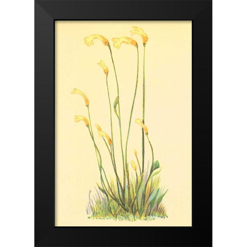 One Flowered Root Black Modern Wood Framed Art Print by PI Collection