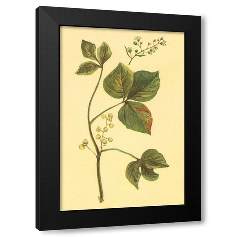 Poison Ivy and Poison Oak Black Modern Wood Framed Art Print by PI Collection