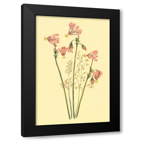 Shooting Star Black Modern Wood Framed Art Print with Double Matting by PI Collection