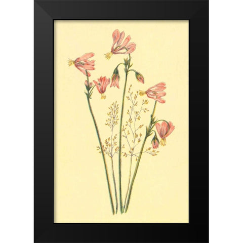 Shooting Star Black Modern Wood Framed Art Print by PI Collection