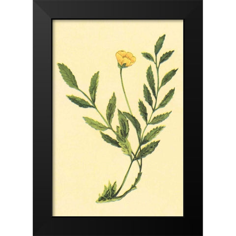 Silver Weed Black Modern Wood Framed Art Print by PI Collection
