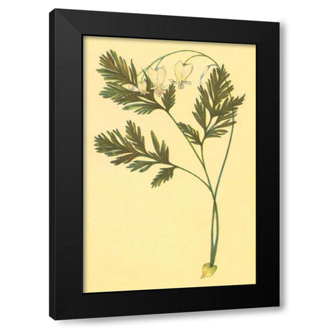 Squirrel Corn Black Modern Wood Framed Art Print with Double Matting by PI Collection