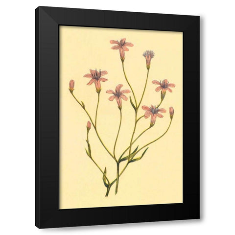 Wheelers Chaetadelpha Black Modern Wood Framed Art Print with Double Matting by PI Collection