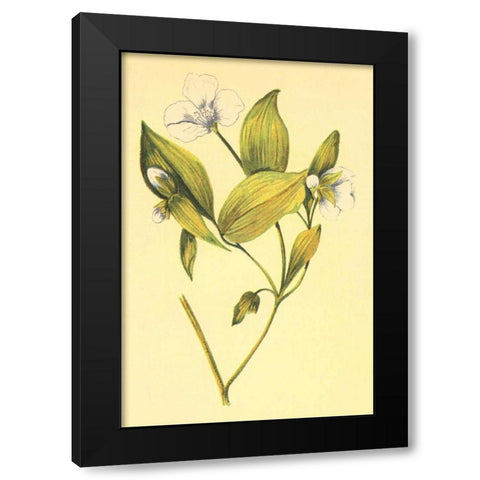 Wild Mock  Black Modern Wood Framed Art Print by PI Collection