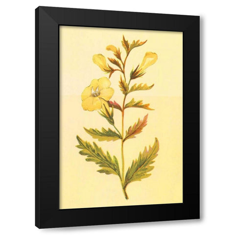 Yellow Fox Glove Black Modern Wood Framed Art Print by PI Collection