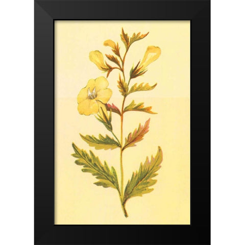 Yellow Fox Glove Black Modern Wood Framed Art Print by PI Collection