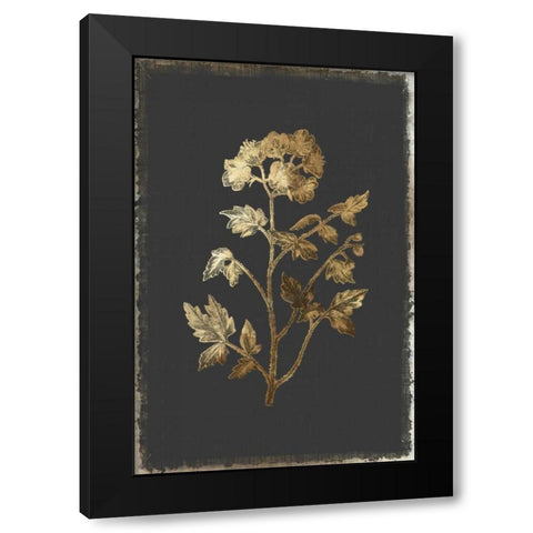 Cut Leaved Phacelia Black Modern Wood Framed Art Print by PI Collection
