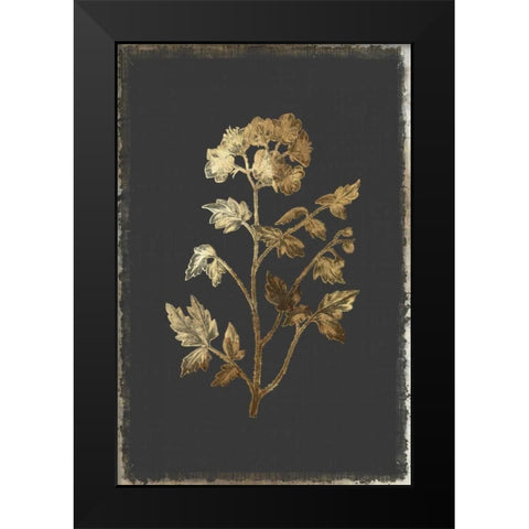 Cut Leaved Phacelia Black Modern Wood Framed Art Print by PI Collection
