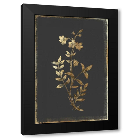 Greek Valerian Black Modern Wood Framed Art Print by PI Collection