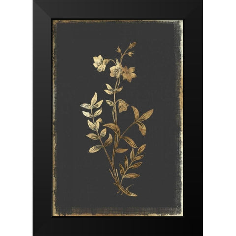Greek Valerian Black Modern Wood Framed Art Print by PI Collection