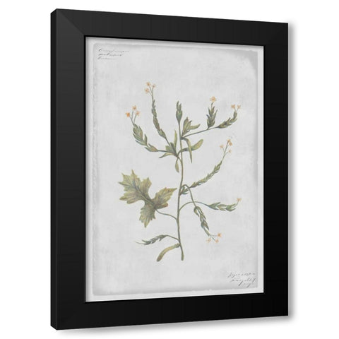 Hedge Mustard Black Modern Wood Framed Art Print by PI Collection