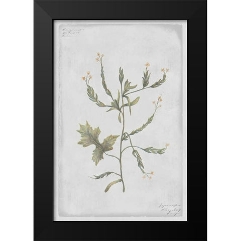 Hedge Mustard Black Modern Wood Framed Art Print by PI Collection