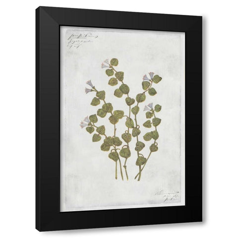 Patridge Berry Black Modern Wood Framed Art Print by PI Collection