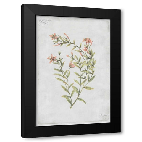 Buds Vol. IV Tav Black Modern Wood Framed Art Print by PI Collection