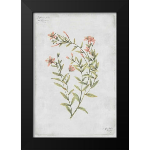Buds Vol. IV Tav Black Modern Wood Framed Art Print by PI Collection