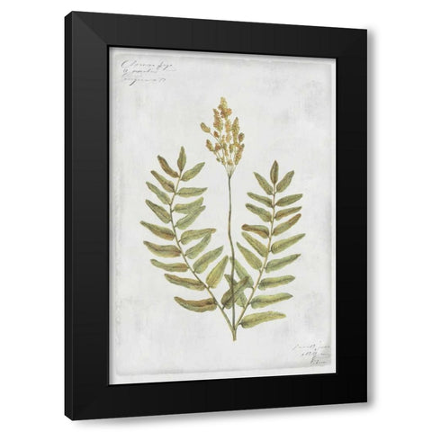 Flowering Fern Stem Black Modern Wood Framed Art Print by PI Collection