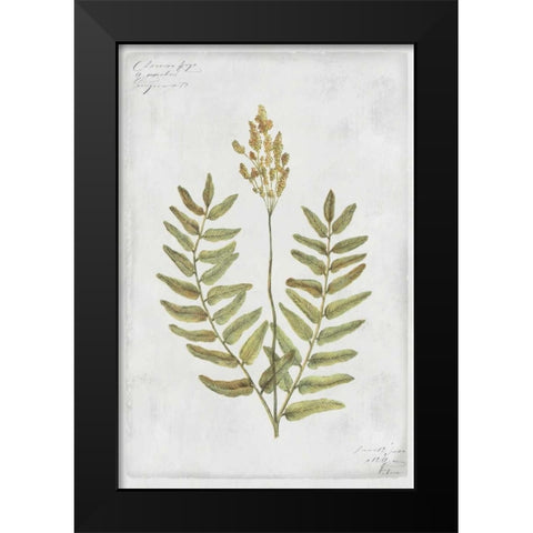 Flowering Fern Stem Black Modern Wood Framed Art Print by PI Collection