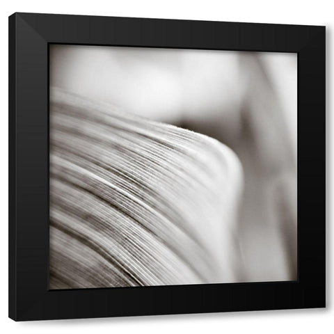 Wave Leaf III Black Modern Wood Framed Art Print with Double Matting by Cotter, Rick