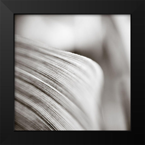 Wave Leaf III Black Modern Wood Framed Art Print by Cotter, Rick