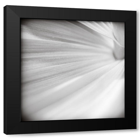 Wave Leaf IV Black Modern Wood Framed Art Print by Cotter, Rick