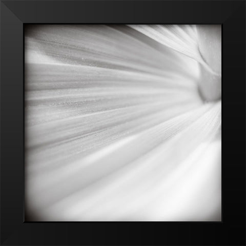 Wave Leaf IV Black Modern Wood Framed Art Print by Cotter, Rick