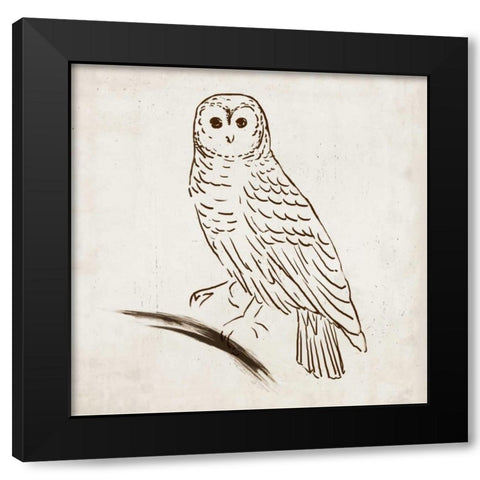 Owl I Black Modern Wood Framed Art Print with Double Matting by Reeves, Tom