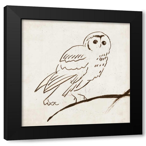 Owl II Black Modern Wood Framed Art Print with Double Matting by Reeves, Tom