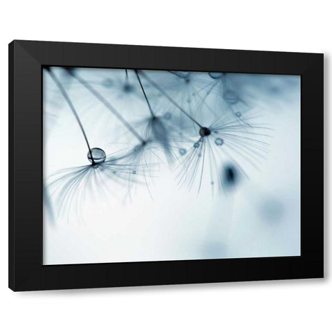 Jewels II Black Modern Wood Framed Art Print by Cozart, Rebecca