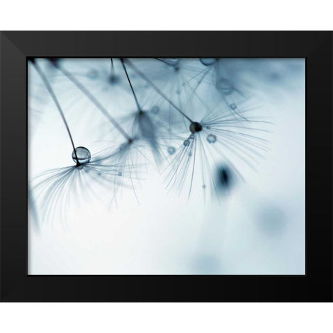 Jewels II Black Modern Wood Framed Art Print by Cozart, Rebecca