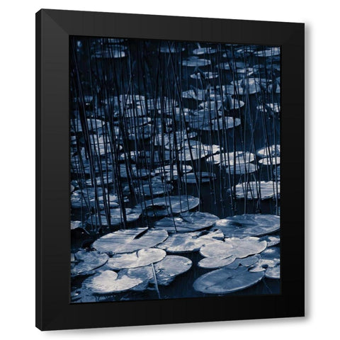Lilly Pond Blue I Black Modern Wood Framed Art Print with Double Matting by Cozart, Rebecca