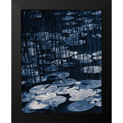 Lilly Pond Blue I Black Modern Wood Framed Art Print by Cozart, Rebecca