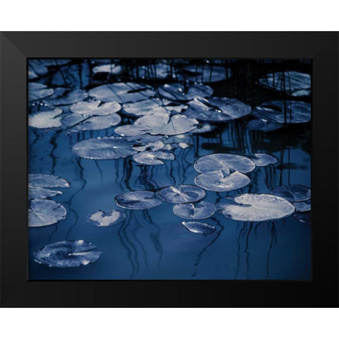 Lilly Pond Blue VII Black Modern Wood Framed Art Print by Cozart, Rebecca
