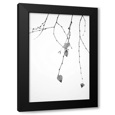 Solo Black Modern Wood Framed Art Print with Double Matting by Cozart, Rebecca