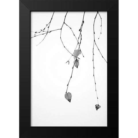 Solo Black Modern Wood Framed Art Print by Cozart, Rebecca