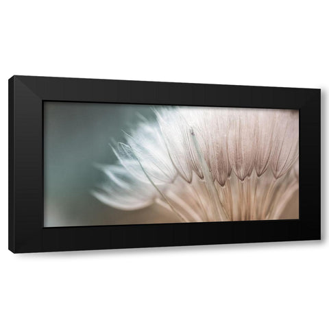 Dalliance I Black Modern Wood Framed Art Print by Schenck, Robert