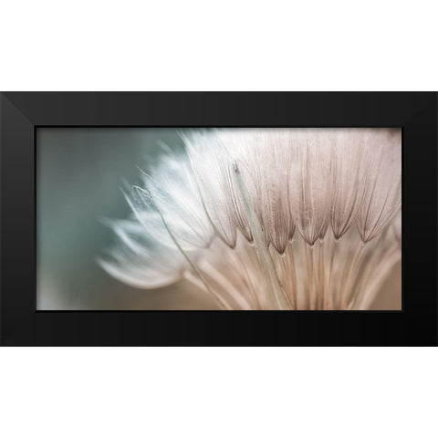 Dalliance I Black Modern Wood Framed Art Print by Schenck, Robert