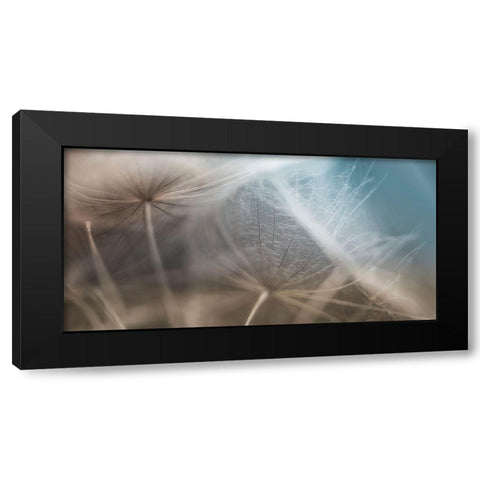 Dalliance II Black Modern Wood Framed Art Print with Double Matting by Schenck, Robert