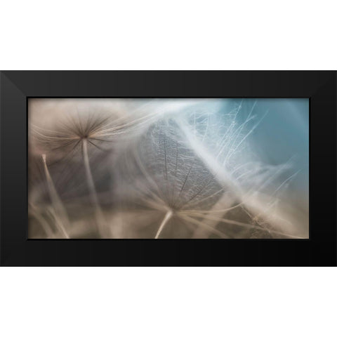 Dalliance II Black Modern Wood Framed Art Print by Schenck, Robert