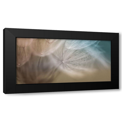 Dalliance III Black Modern Wood Framed Art Print by Schenck, Robert