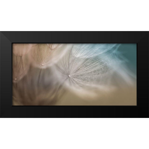 Dalliance III Black Modern Wood Framed Art Print by Schenck, Robert