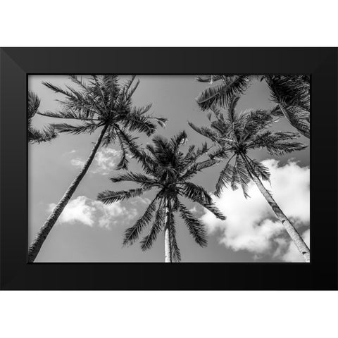 California Palms II Black Modern Wood Framed Art Print by Silver, Richard