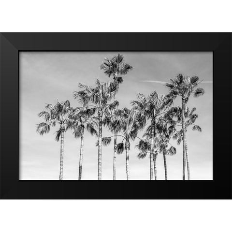 California Palms III Black Modern Wood Framed Art Print by Silver, Richard