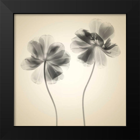 Soft I Black Modern Wood Framed Art Print by Stalus, Judy