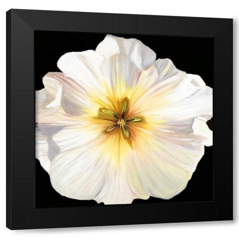 White Bloom I Black Modern Wood Framed Art Print by Iafrate, Sandra