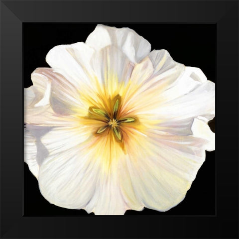 White Bloom I Black Modern Wood Framed Art Print by Iafrate, Sandra