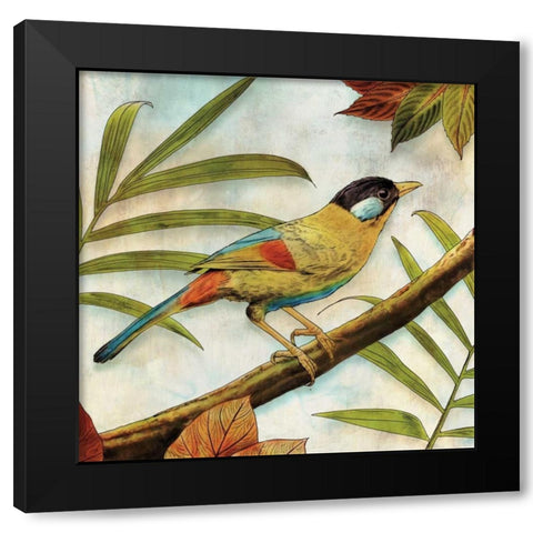 Jungle Bird I Black Modern Wood Framed Art Print with Double Matting by Selkirk, Edward