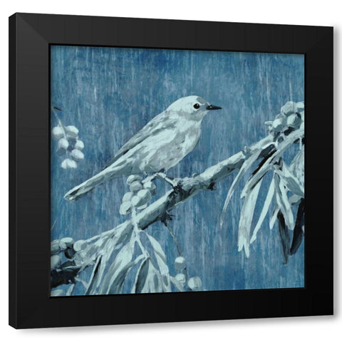 Denim Songbird III Black Modern Wood Framed Art Print with Double Matting by Selkirk, Edward